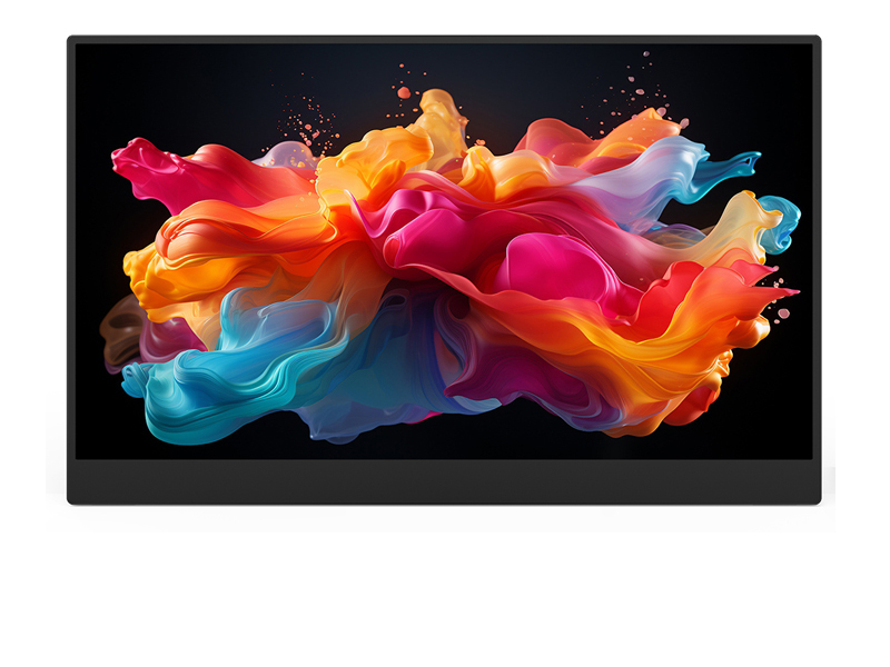 P1A General monitor